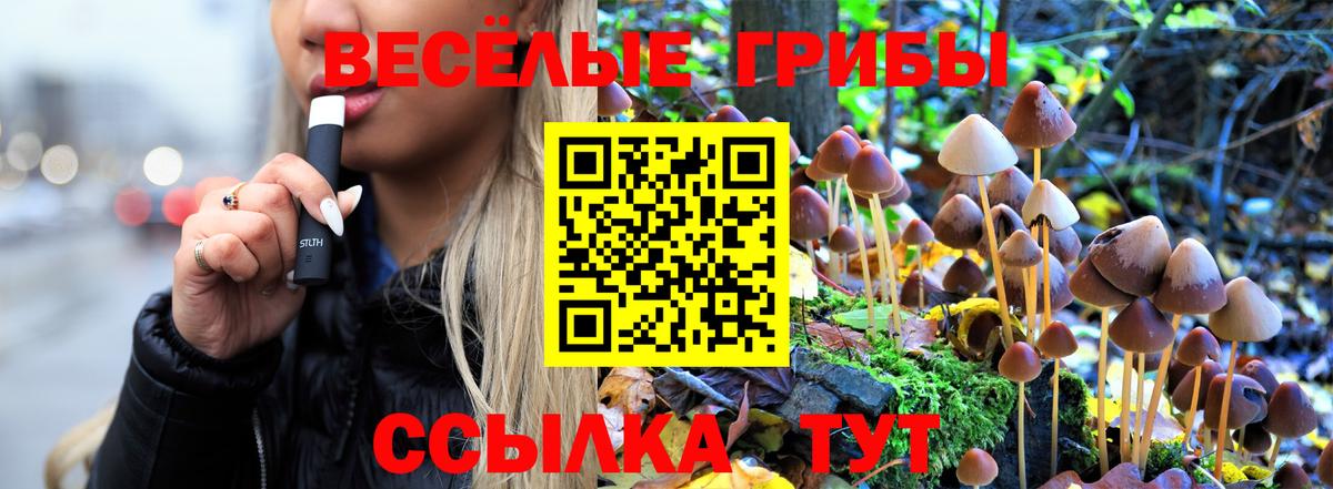 Галлюциногенные грибы Psilocybe  наркота  Вход с VPN  Анапа  Галлюциногенные грибы Psilocybe 